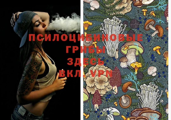 МДПВ Волоколамск