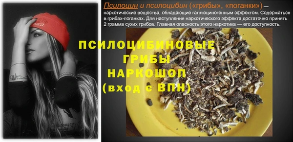 Альфа ПВП Бородино
