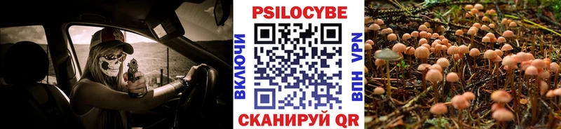 мориарти телеграм  Канаш  Псилоцибиновые грибы мухоморы  где продают  