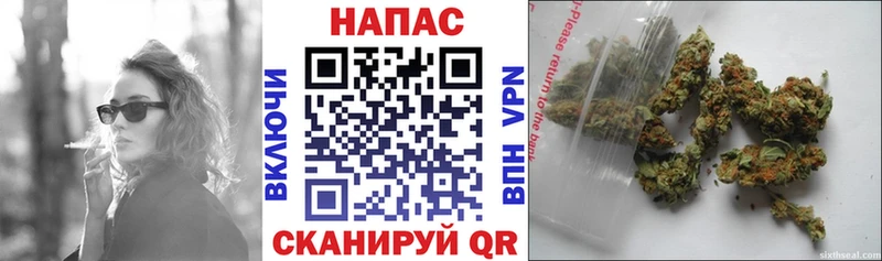 MEGA вход  Канаш  Шишки марихуана VHQ  купить наркотик 